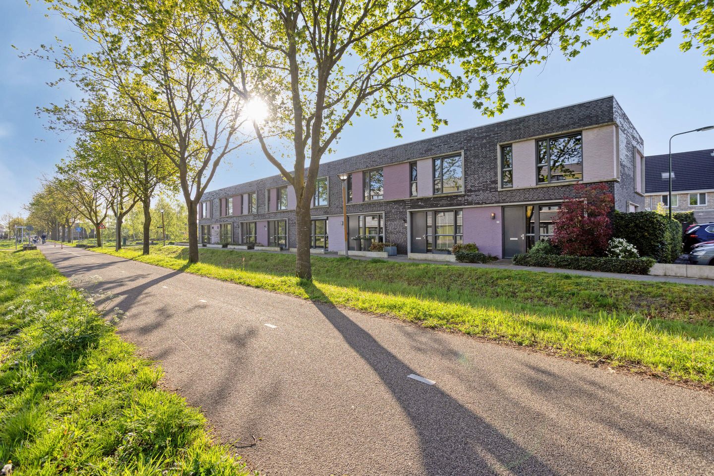 Paardenbloem 39