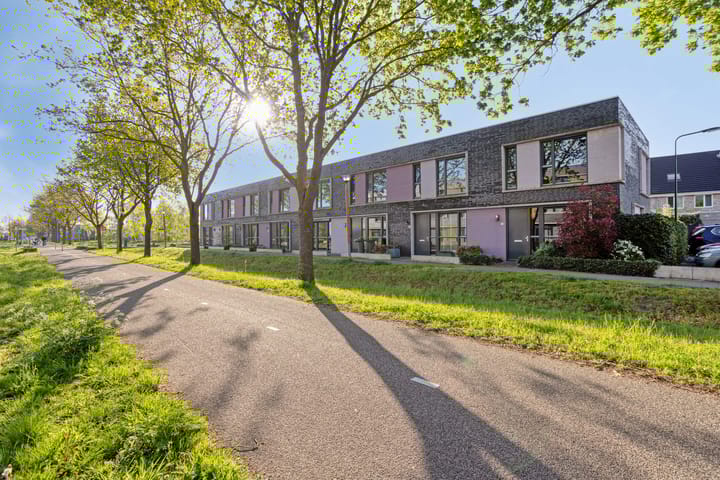 Paardenbloem 39 main image