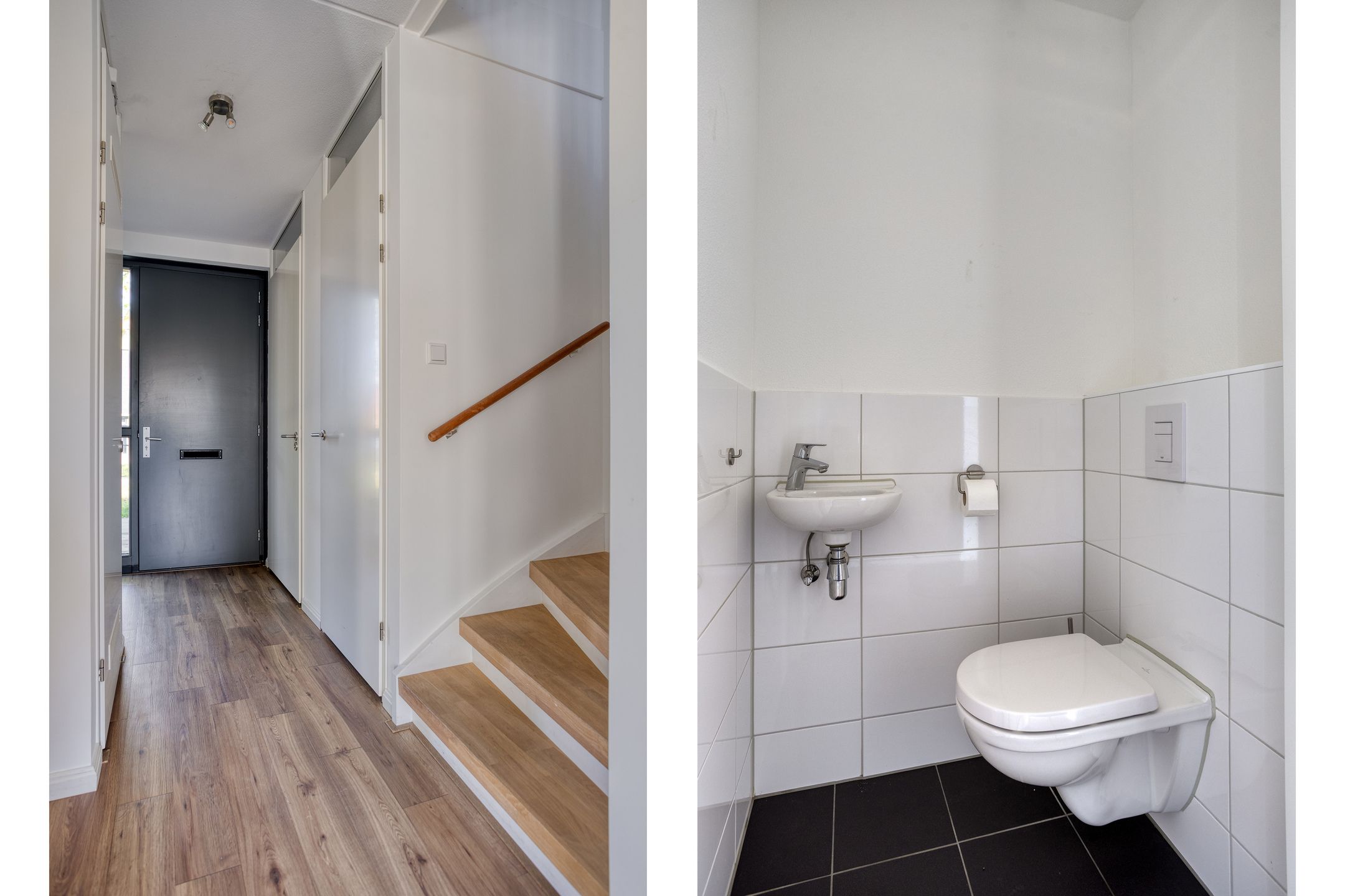 Foto 6 van Paardenbloem 39