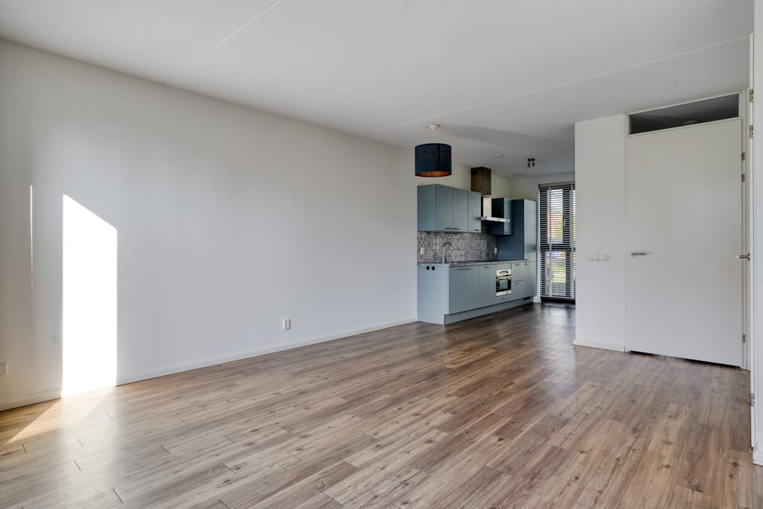 Foto 11 van Paardenbloem 39