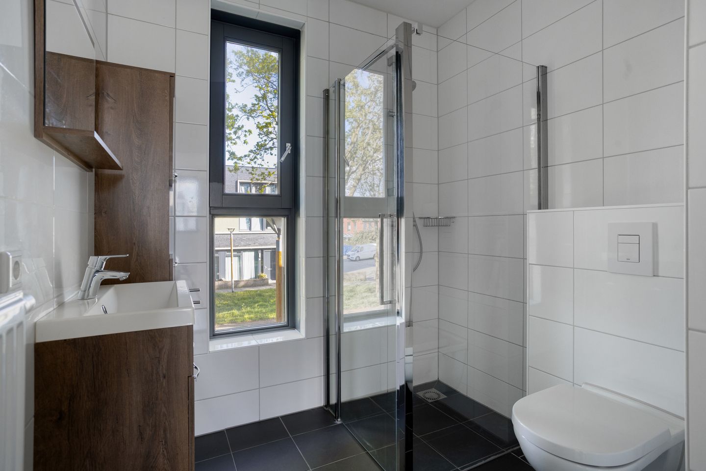 Foto 20 van Paardenbloem 39