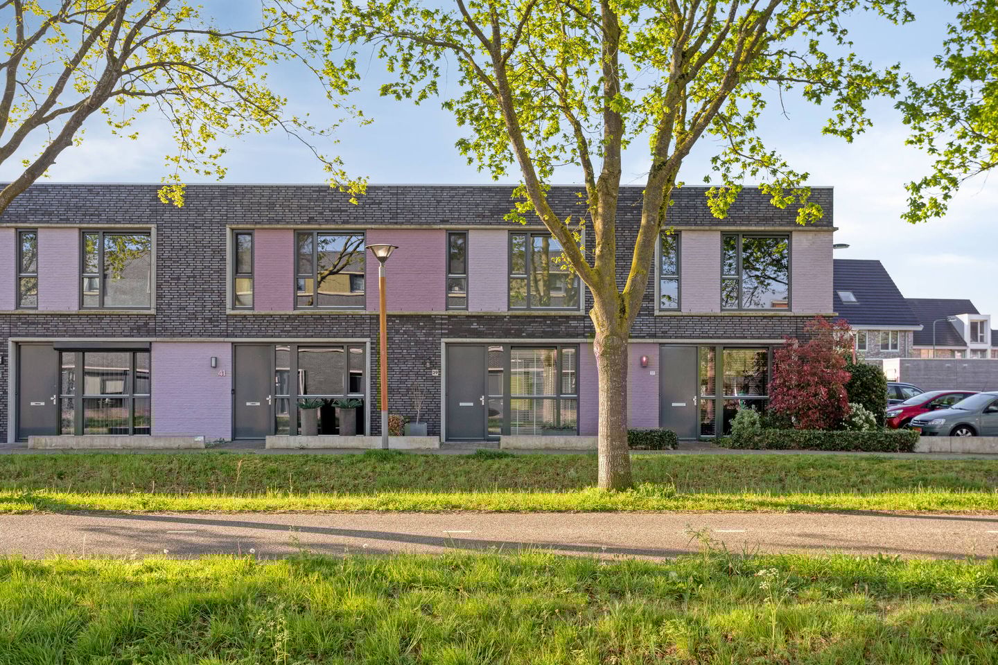 Foto 5 van Paardenbloem 39