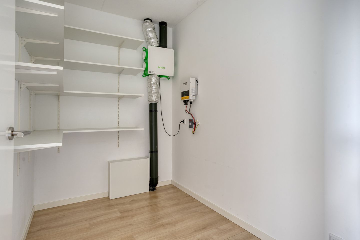 Foto 19 van Paardenbloem 39