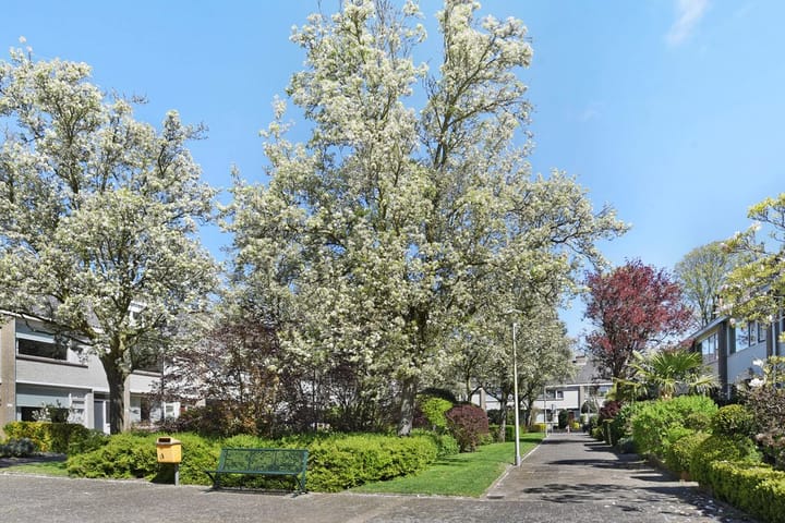 Photo 4 of Van Polanenpark 139