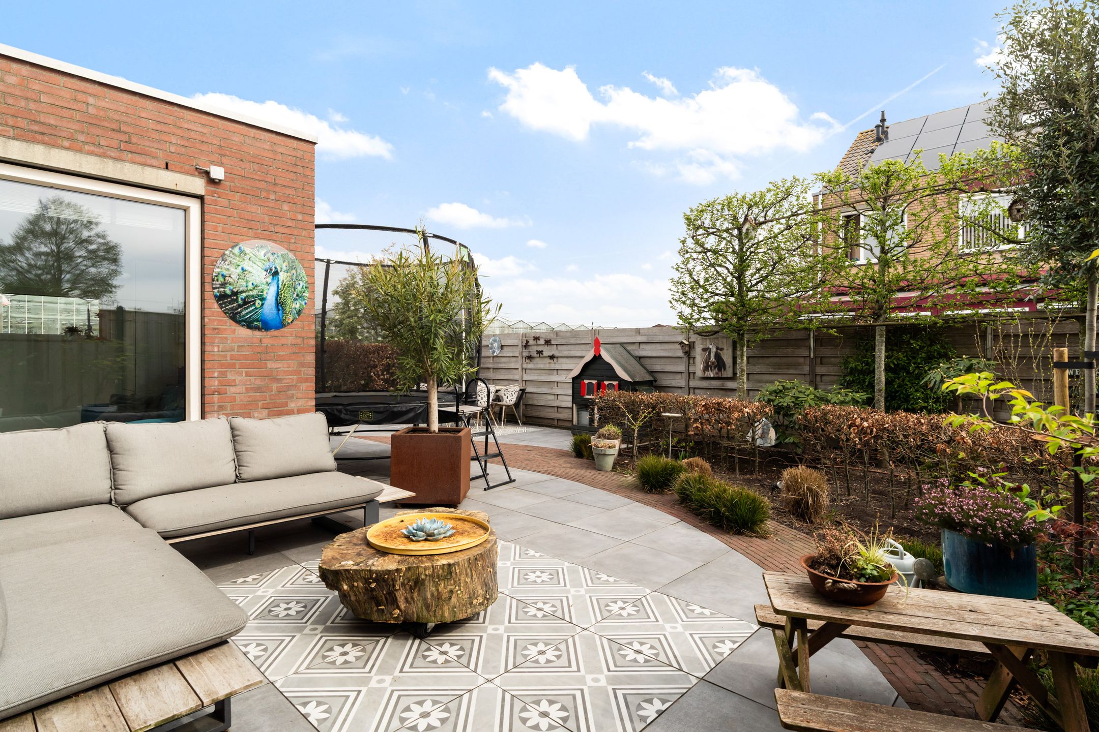 Foto 3 van Scholekster 20