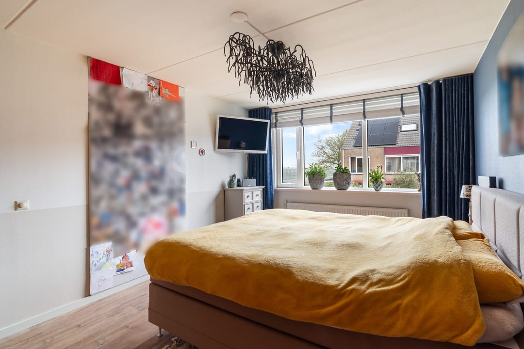 Foto 32 van Scholekster 20