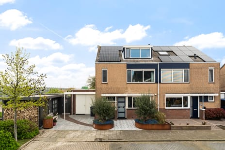 Scholekster thumbnail