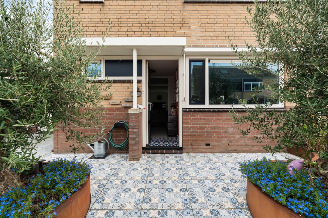 Foto 7 van Scholekster 20