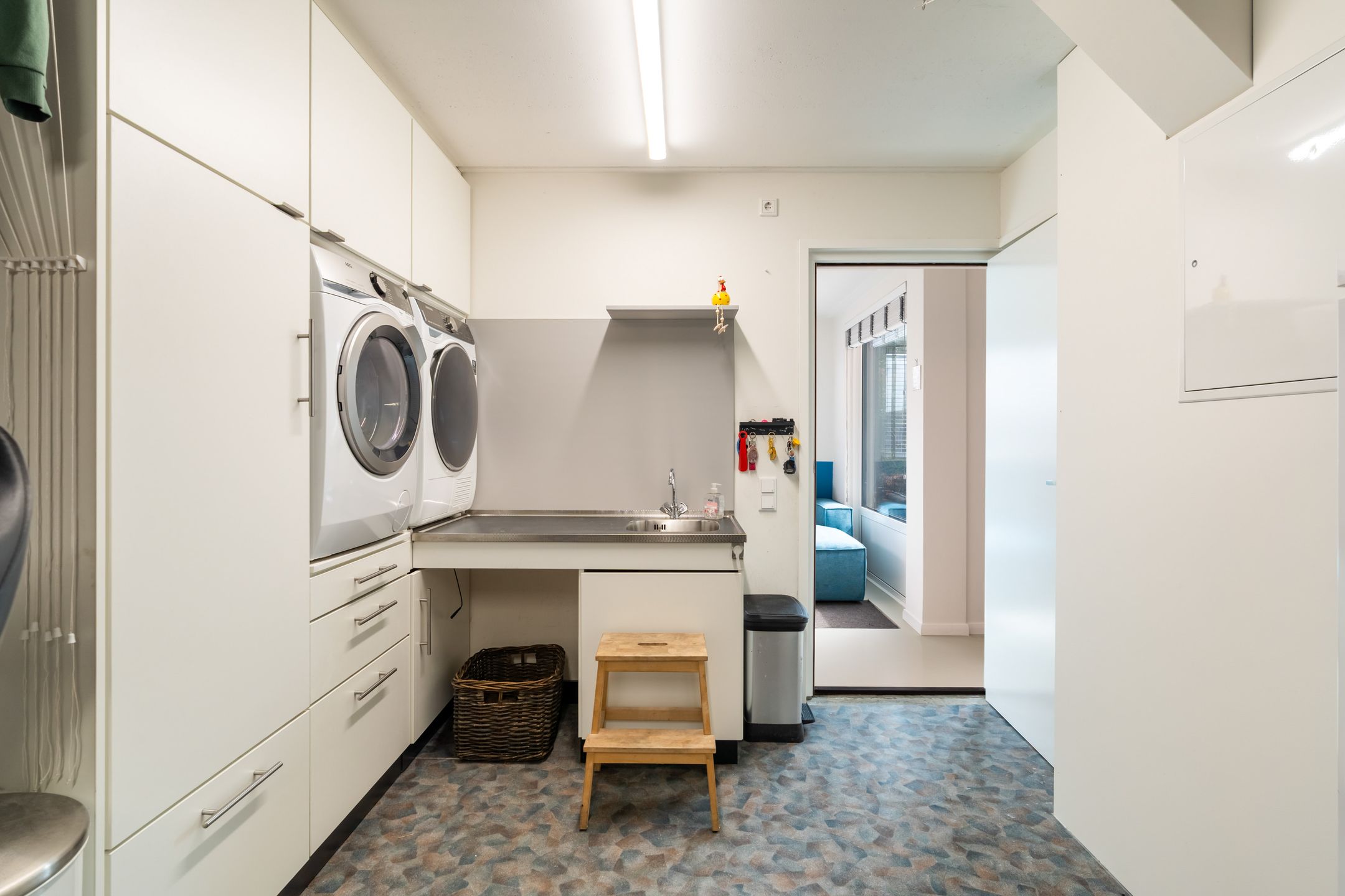 Foto 21 van Scholekster 20