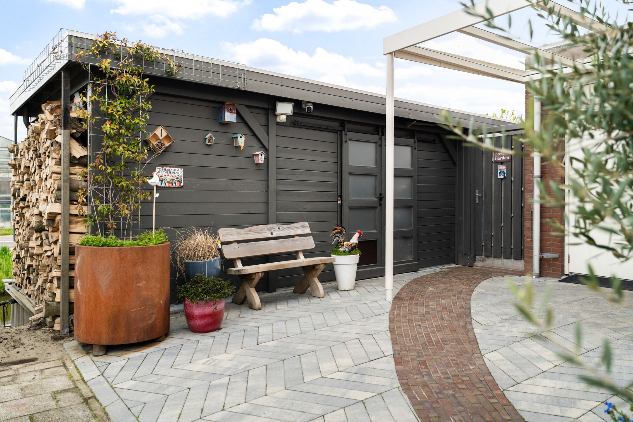 Foto 30 van Scholekster 20