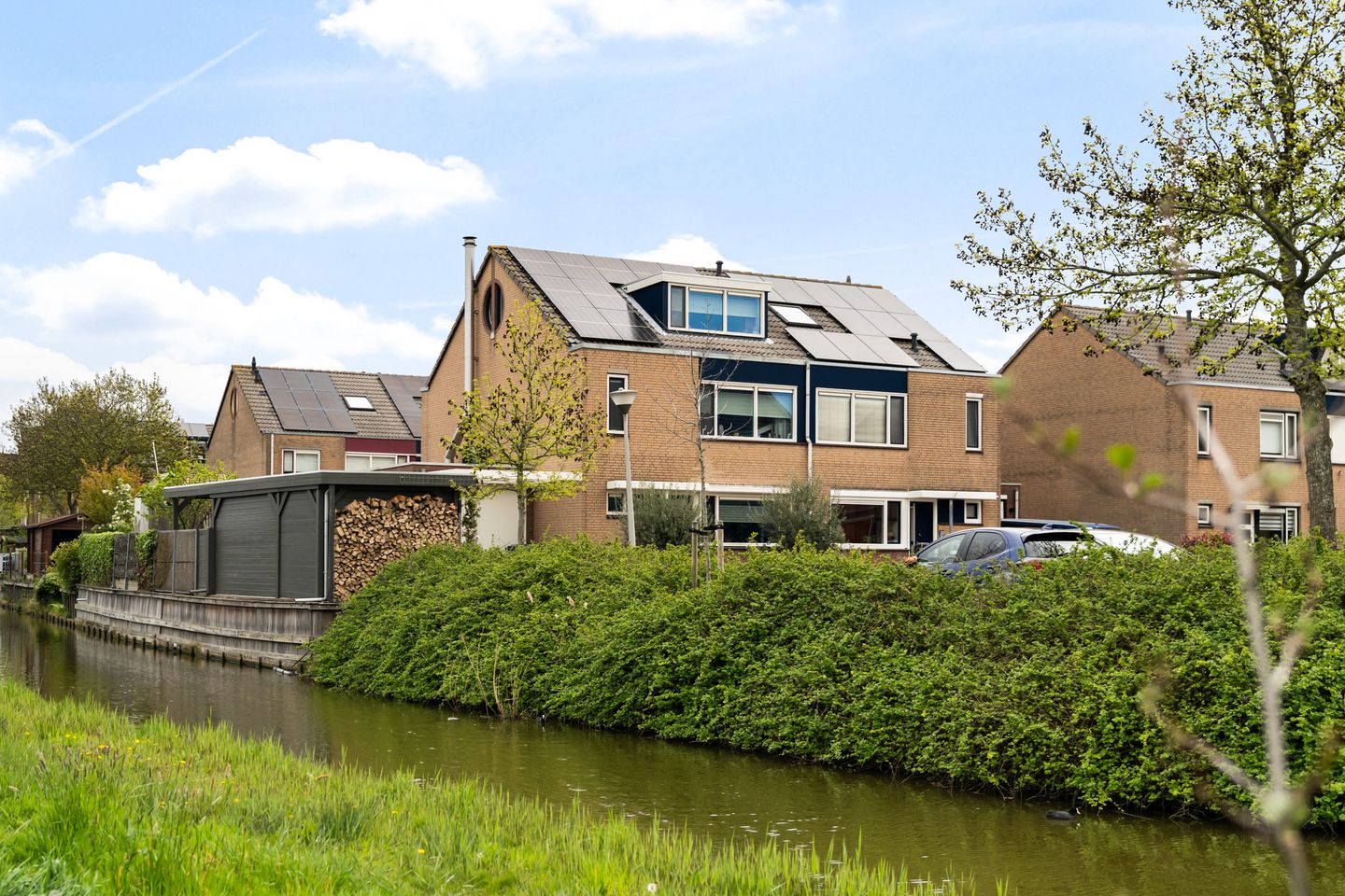 Foto 50 van Scholekster 20