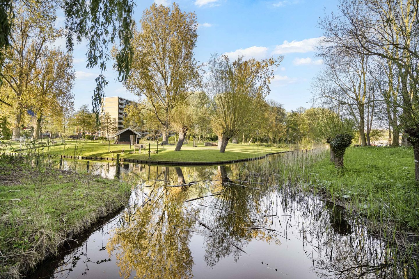 Foto 50 van Cruquiuslaan 115