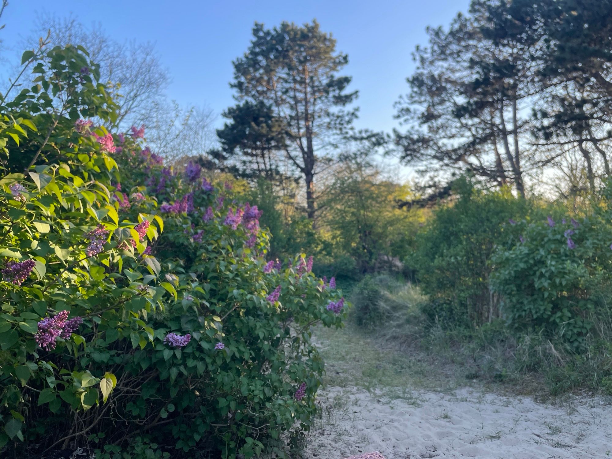 Foto 21 van Jhr. P.N. Quarles van Uffordlaan 1-A21