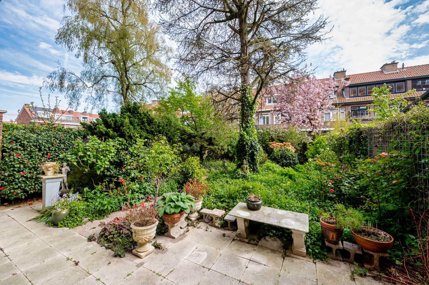 Foto 30 van Laan van Meerdervoort 1442