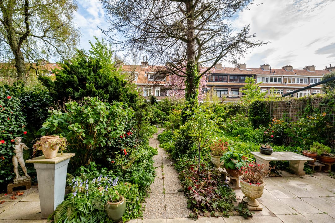 Foto 32 van Laan van Meerdervoort 1442