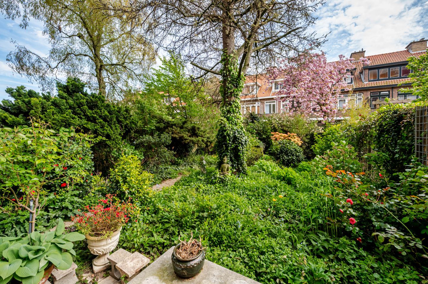 Foto 34 van Laan van Meerdervoort 1442