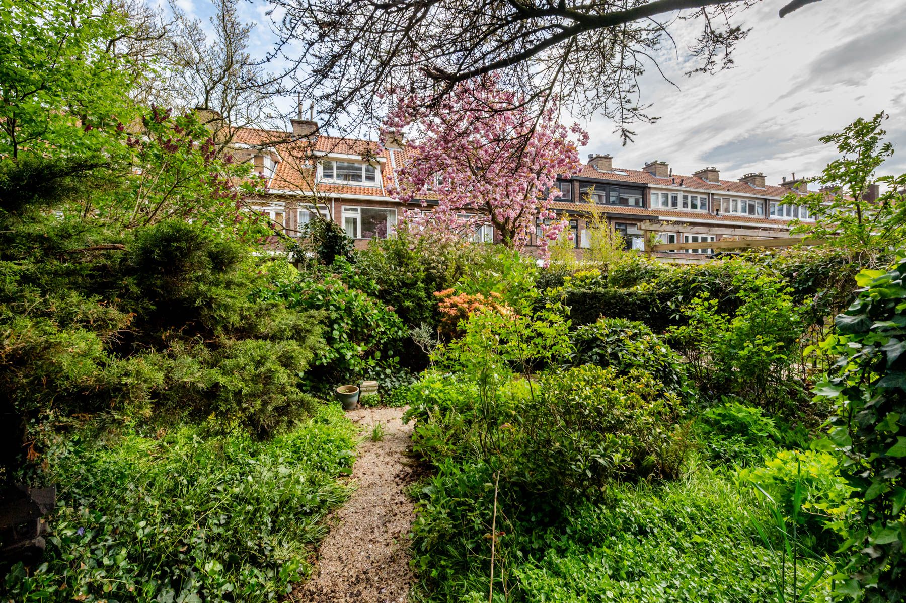 Foto 36 van Laan van Meerdervoort 1442