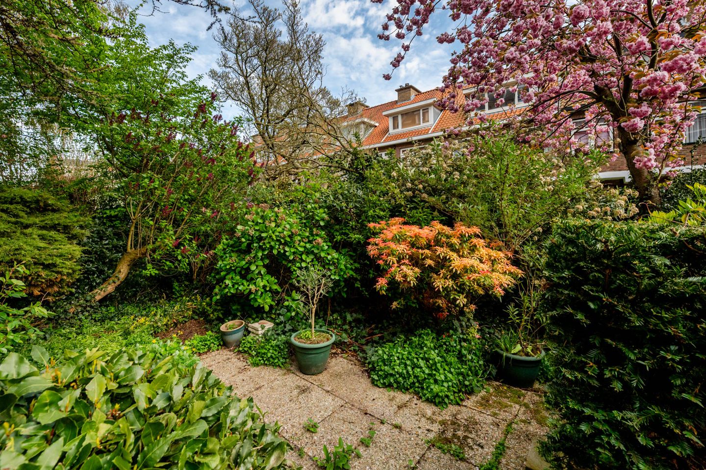 Foto 40 van Laan van Meerdervoort 1442