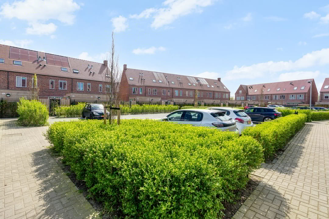 Foto 41 van Notenhout 19