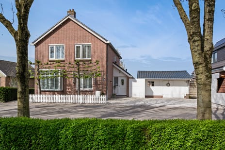 undefined main image