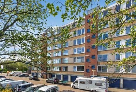 Doorneberglaan thumbnail