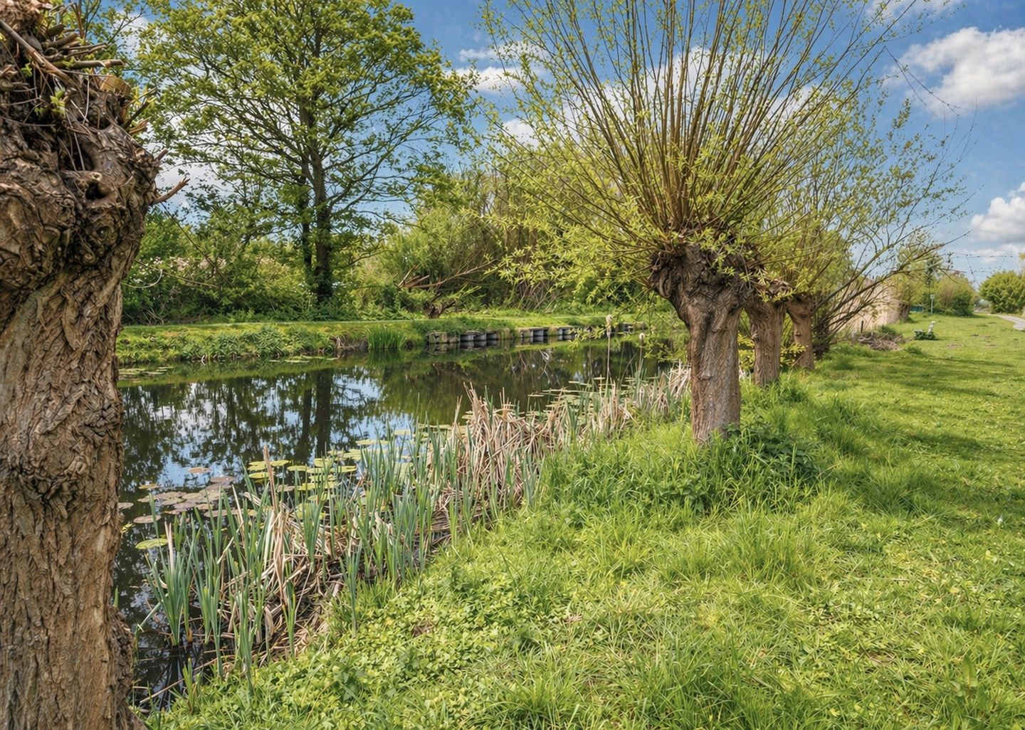 Foto 35 van Condorhorst 95