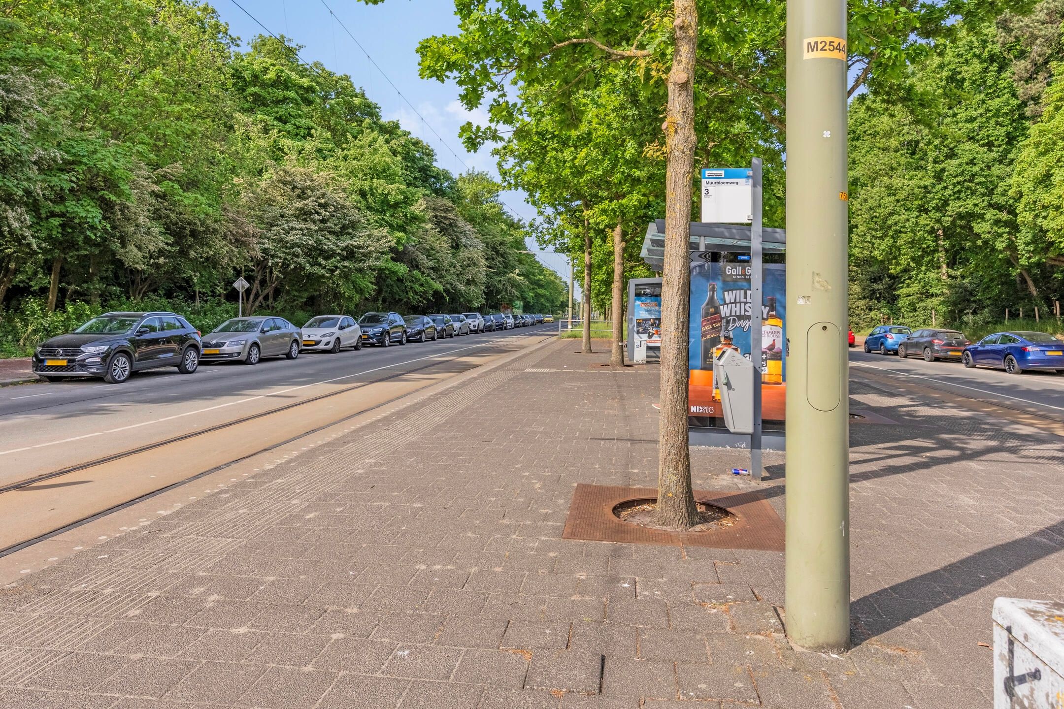 Foto 21 van Laan van Meerdervoort 1581