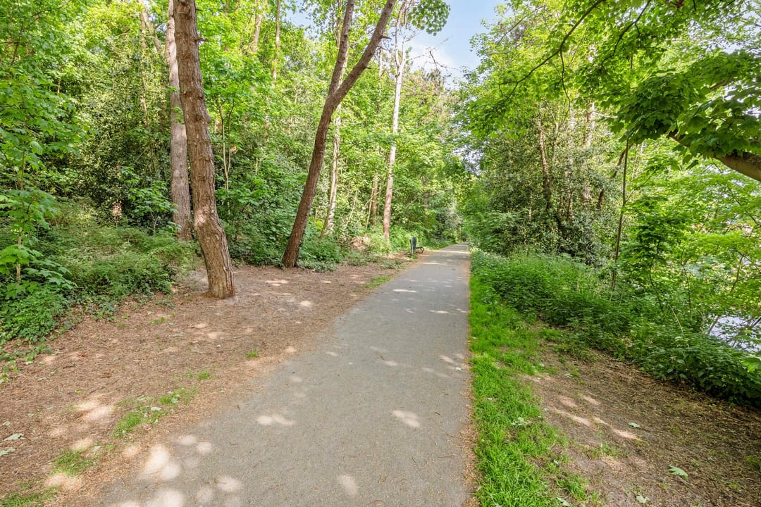 Foto 22 van Laan van Meerdervoort 1581