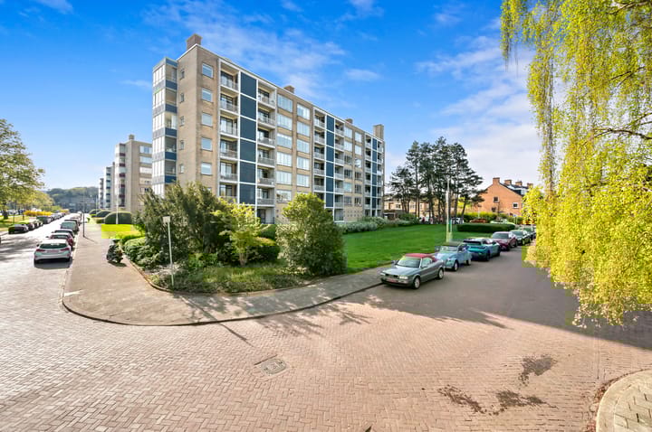 Foto 5 van Van Alkemadelaan 1162