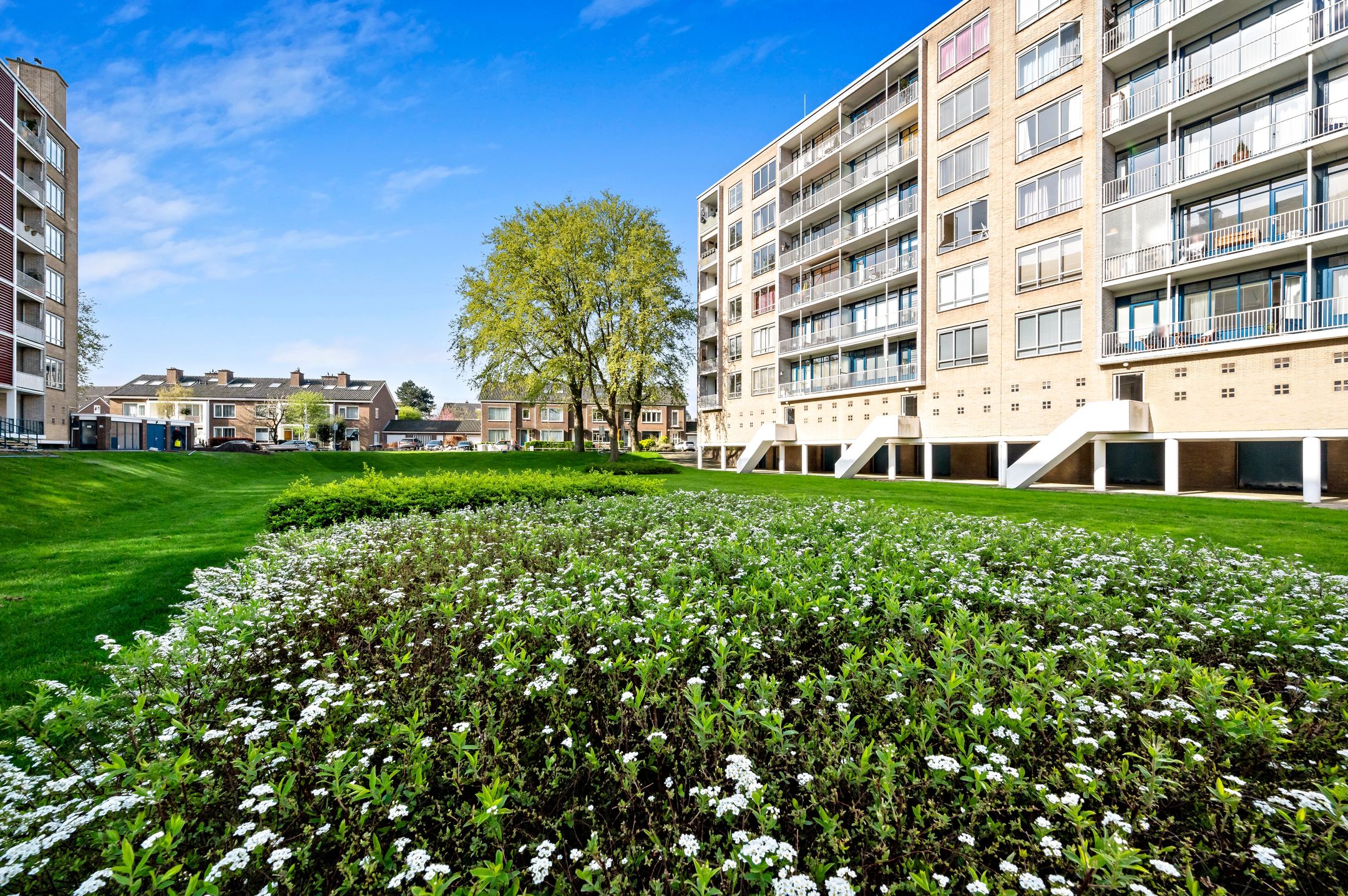 Foto 6 van Van Alkemadelaan 1162