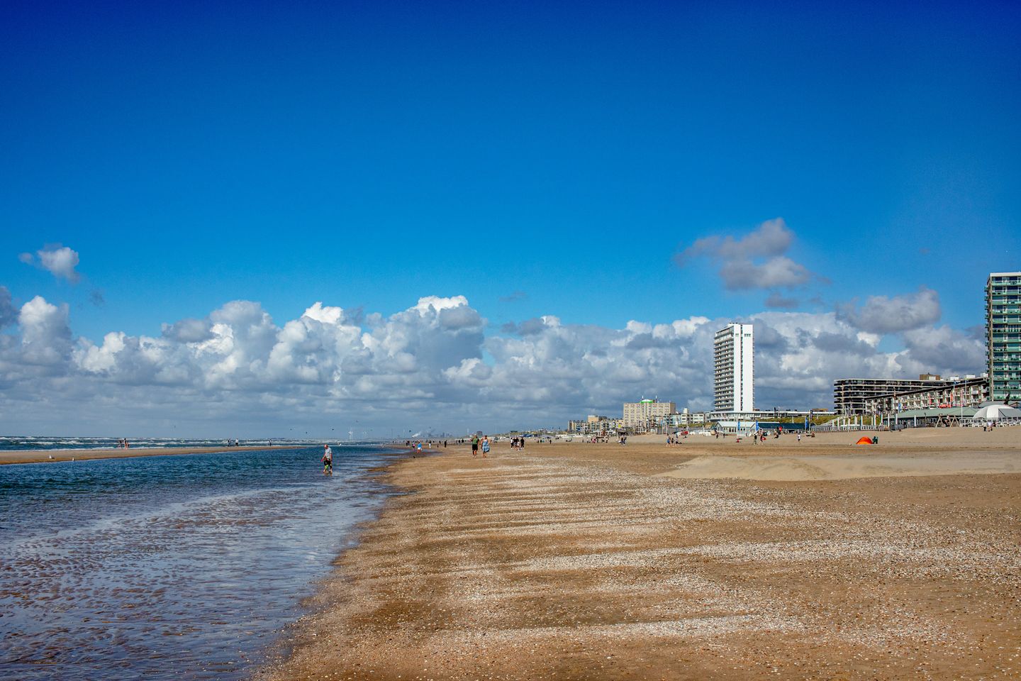 Photo 50 of van Speijkstraat 170