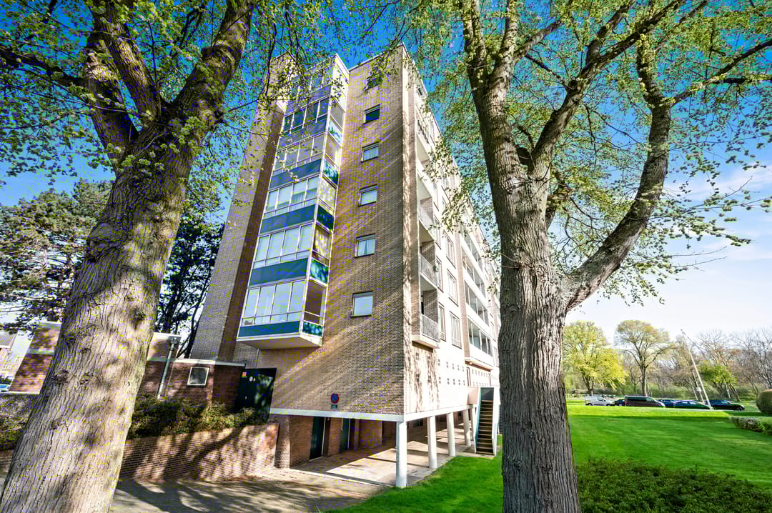 Foto 1 van Van Alkemadelaan 1162