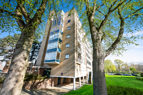 Van Alkemadelaan thumbnail