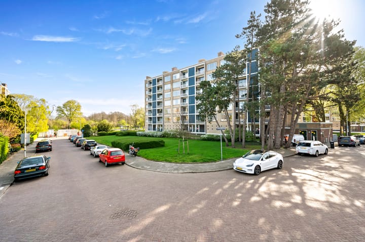 Foto 4 van Van Alkemadelaan 1162