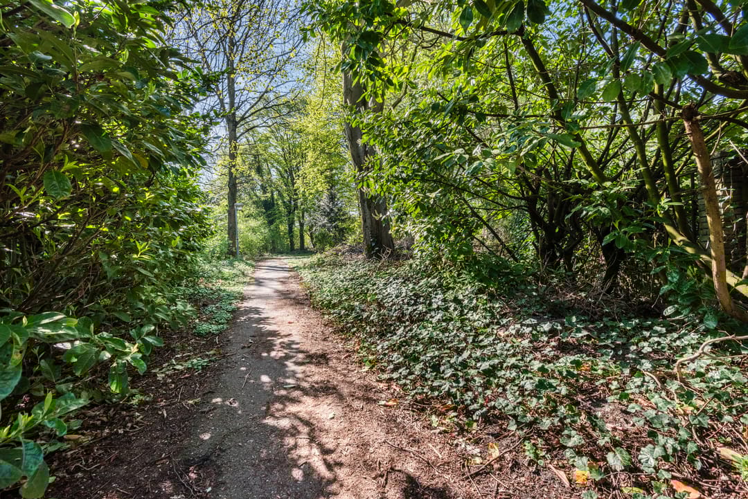 Foto 52 van Archipel 44 19