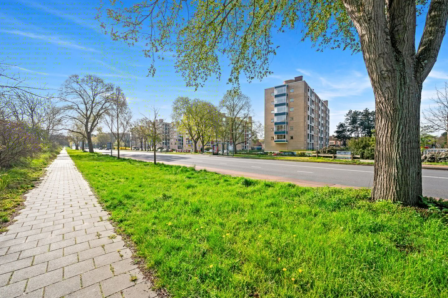 Foto 35 van Van Alkemadelaan 1162