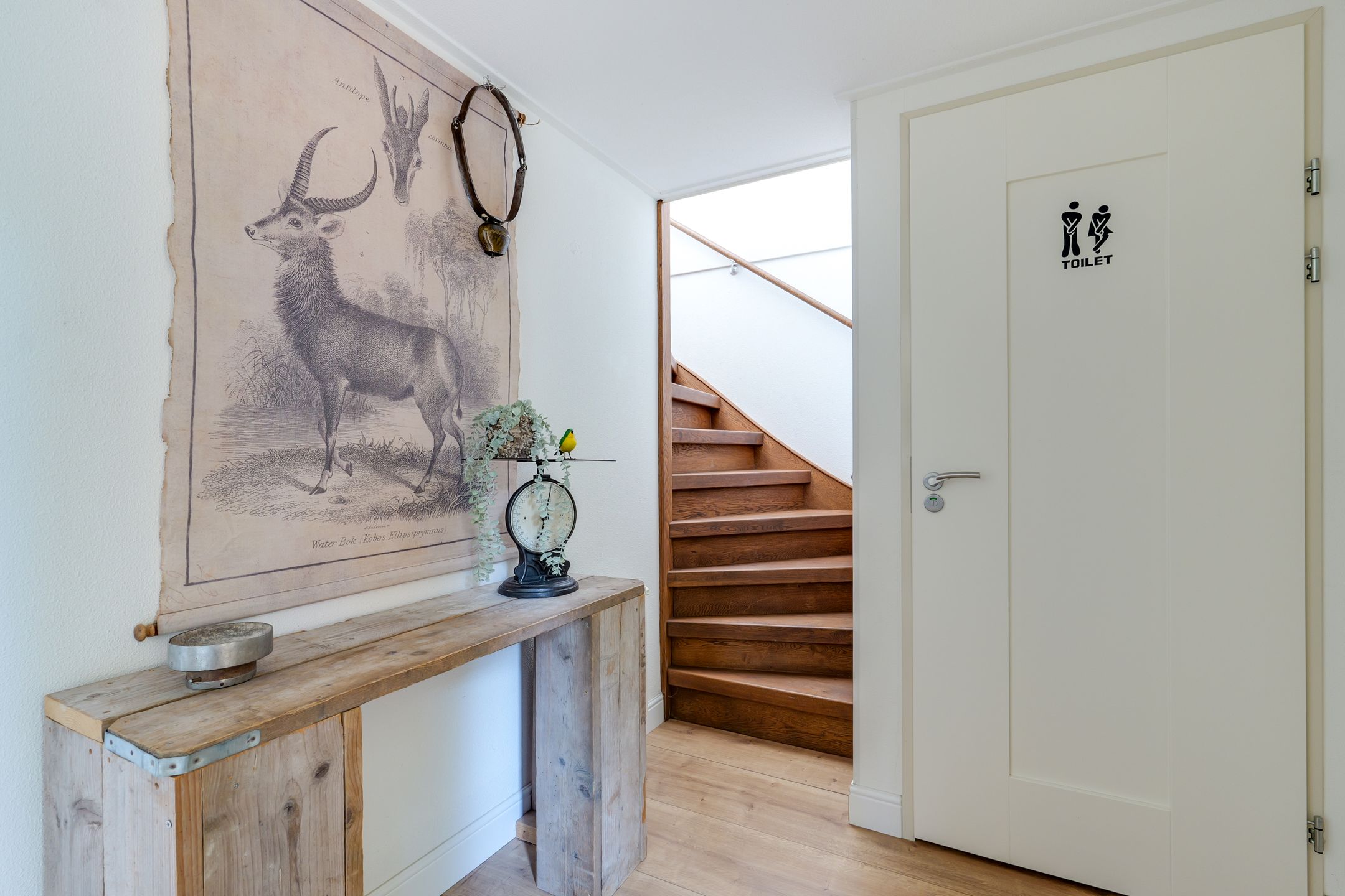 Foto 12 van Albast 21