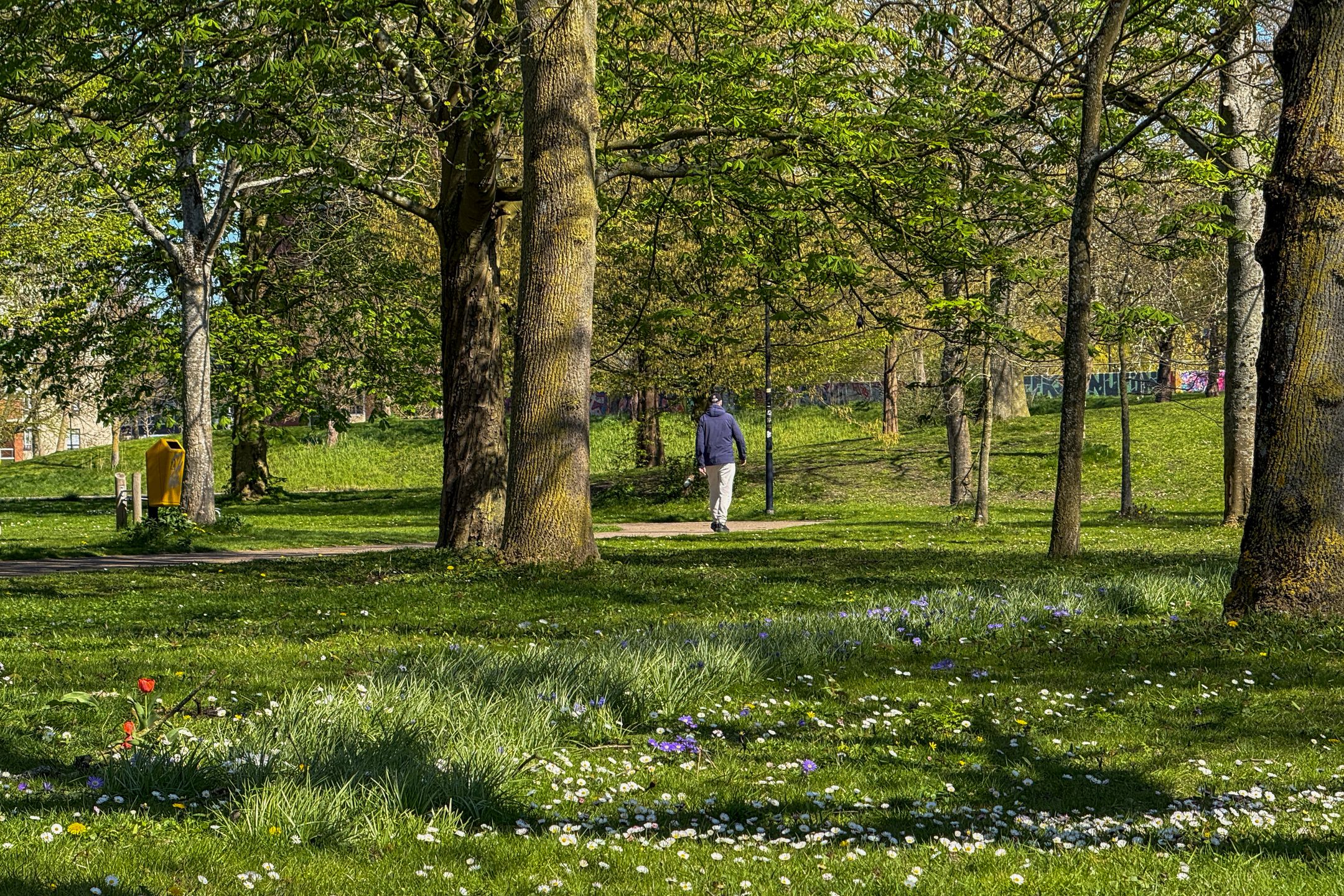 Foto 69 van Albast 21