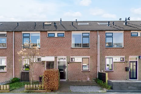 Kastanjelaan thumbnail