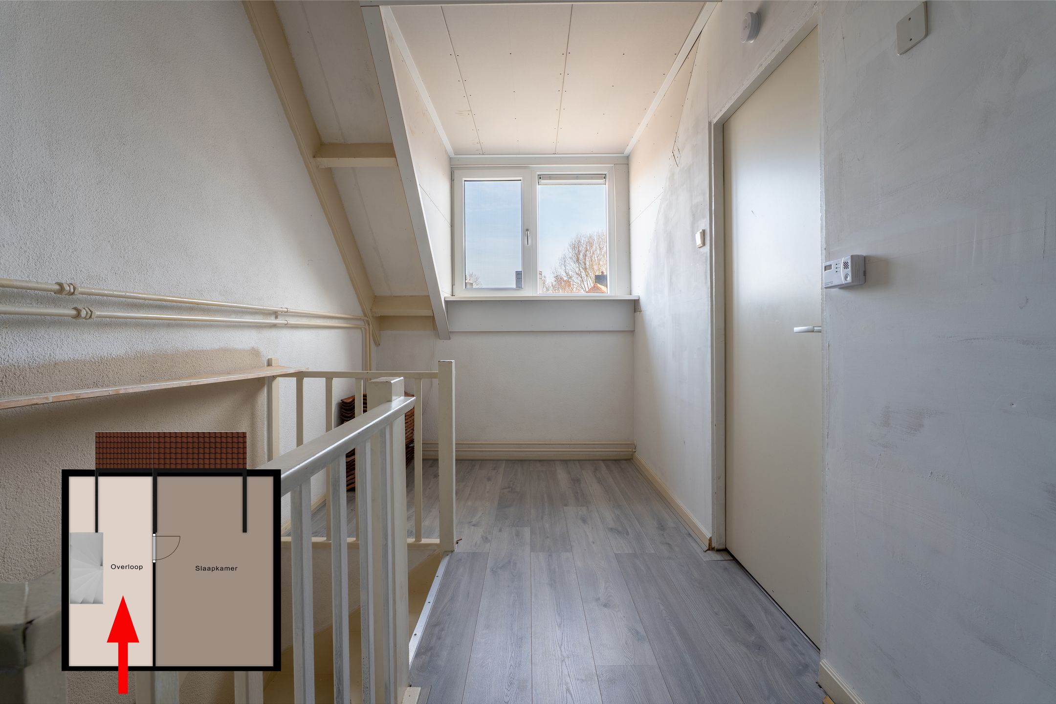 Foto 30 van Repel 67