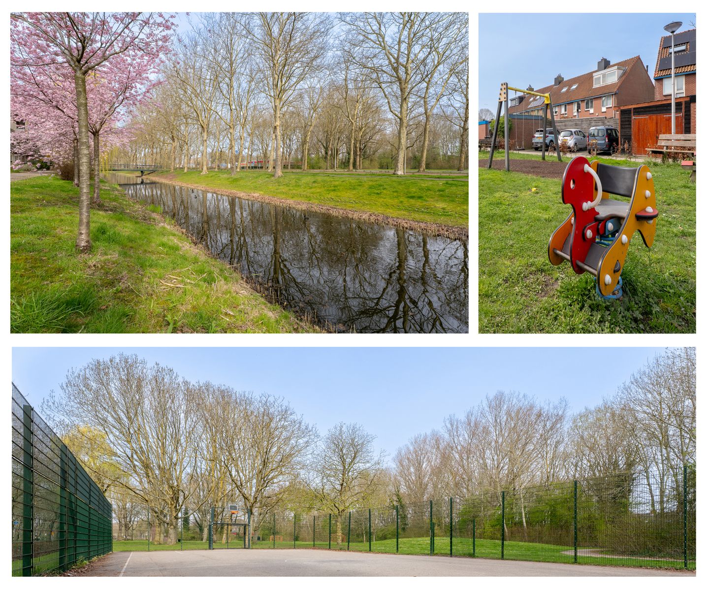 Foto 34 van Repel 67