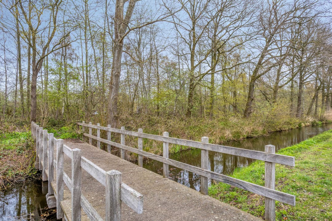 Foto 46 van Dassenburcht 1