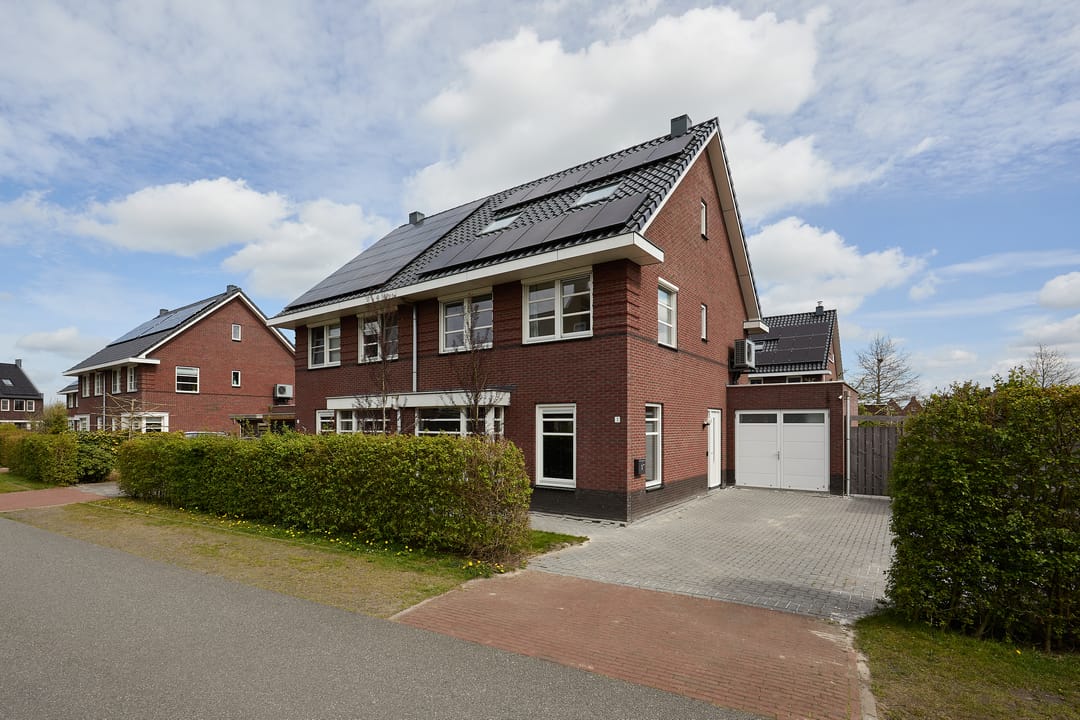 Foto 1 van Vederkruid 1