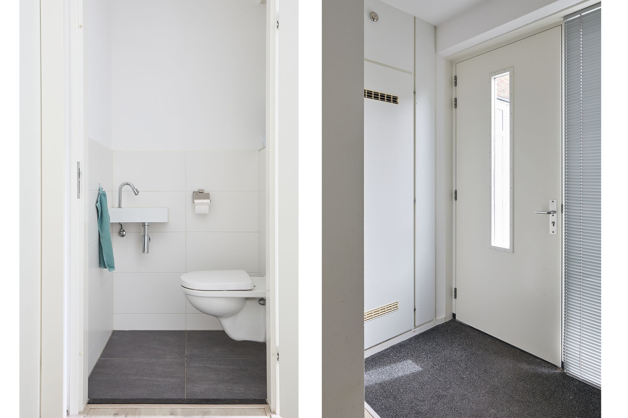 Foto 15 van Vederkruid 1