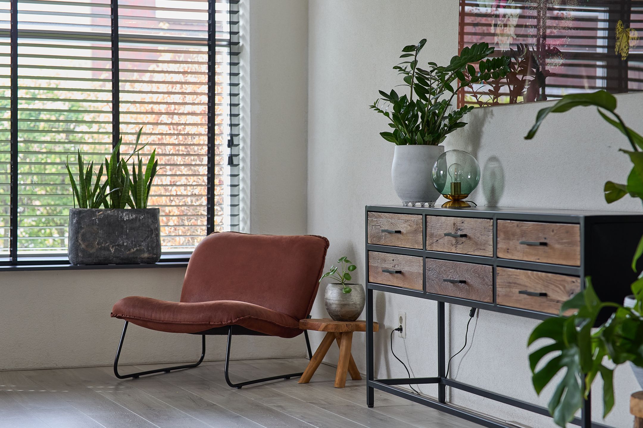 Foto 18 van Vederkruid 1