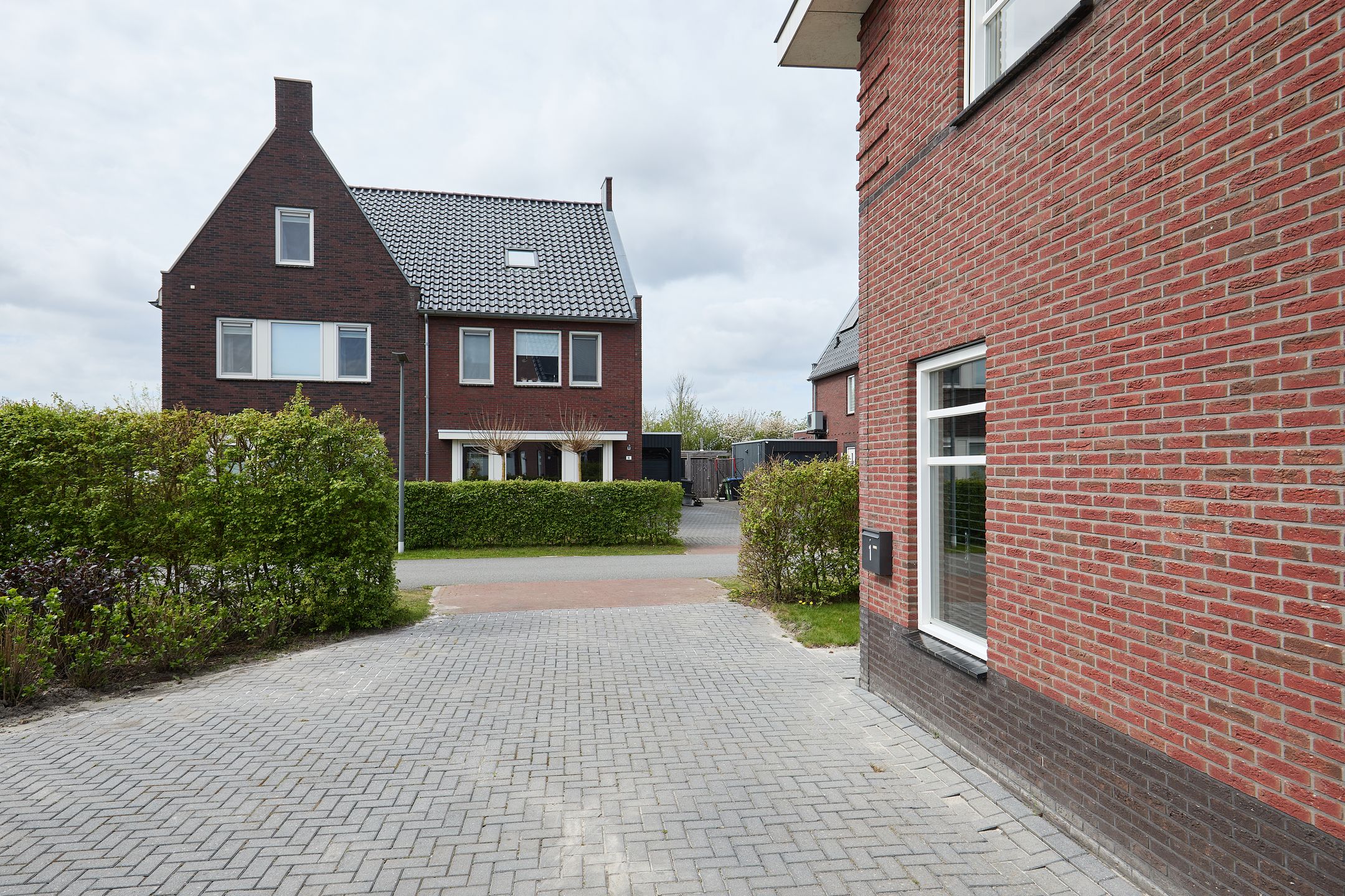 Foto 12 van Vederkruid 1