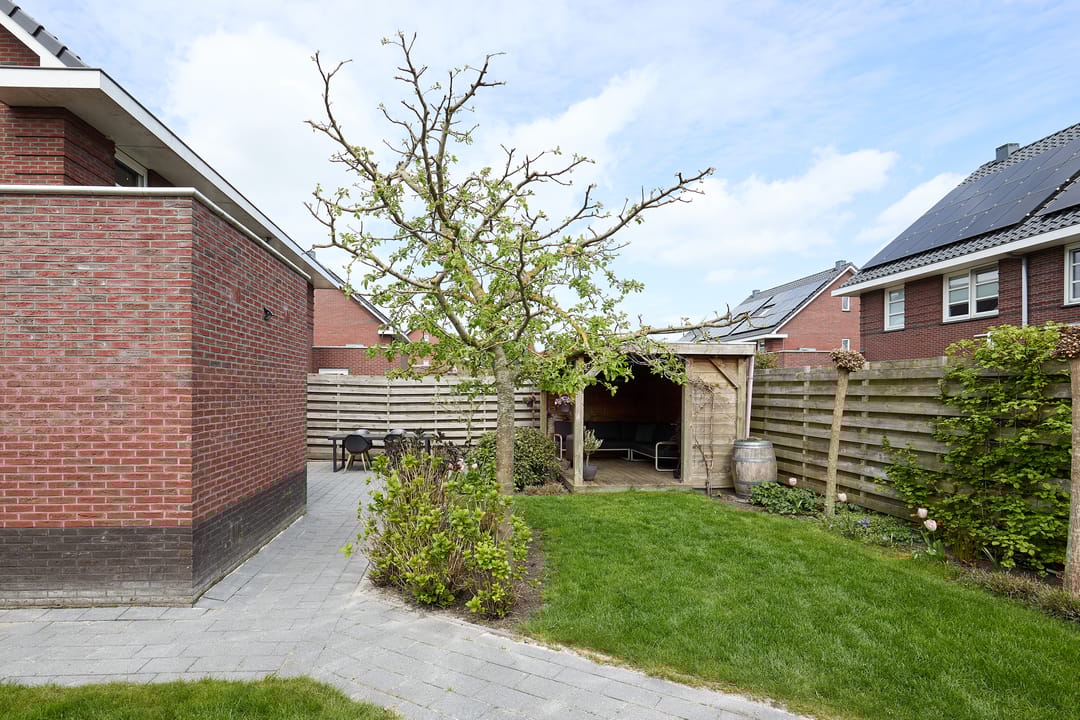 Foto 37 van Vederkruid 1