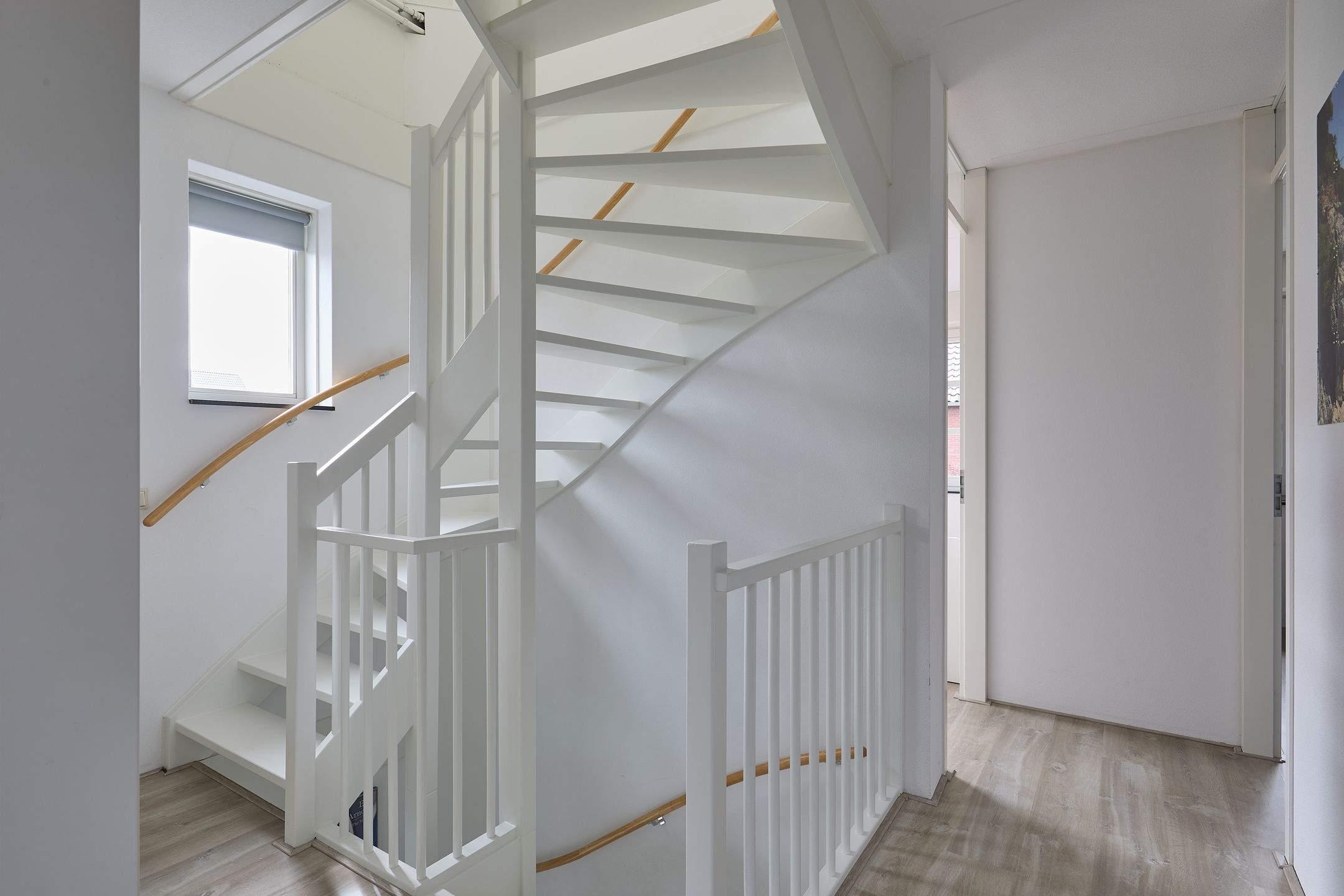 Foto 51 van Vederkruid 1