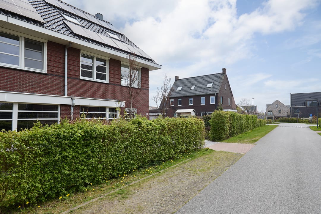 Foto 58 van Vederkruid 1