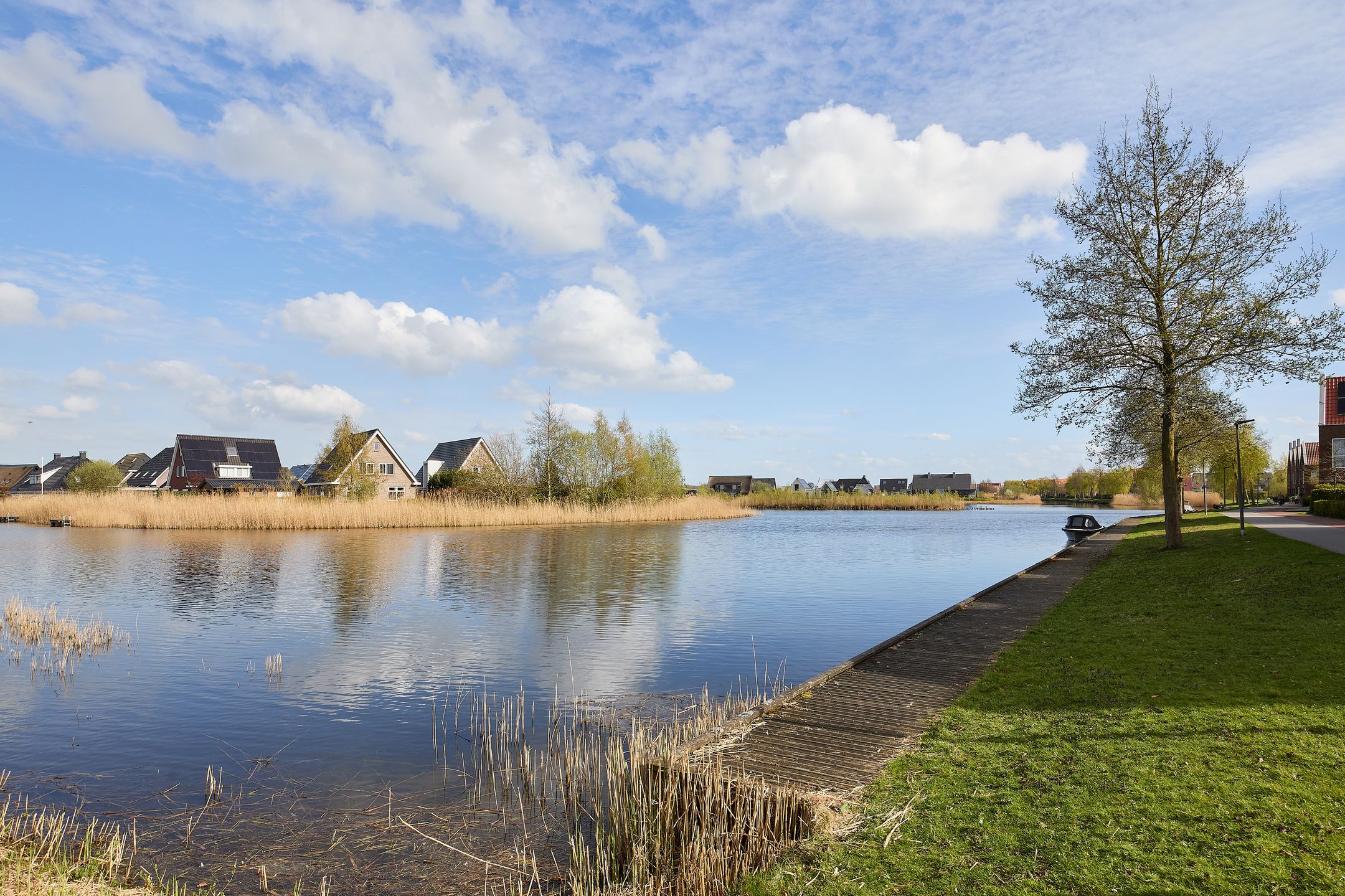 Foto 60 van Vederkruid 1